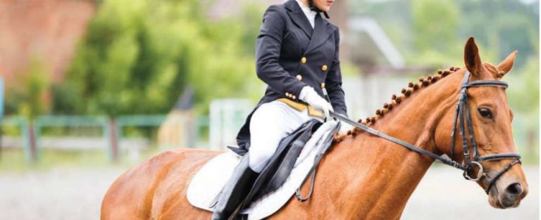 A lady riding a horse